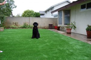Campland on the Bay Trailer Park Artificial Turf Installation in 92109