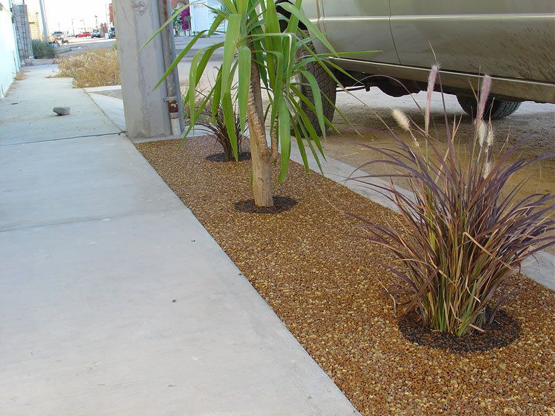 Porous Tree Well Installation Services San Diego, Tree Well Maintenance and Cleaning