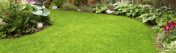 ▷7 Reasons Your Artificial Grass Is More Durable Than You Think San Diego Ca
