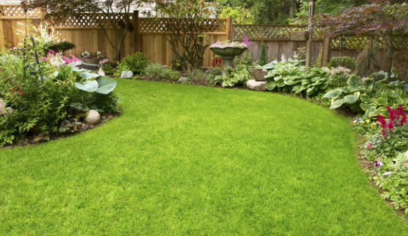 7 Reasons Your Artificial Grass Is More Durable Than You Think San Diego Ca